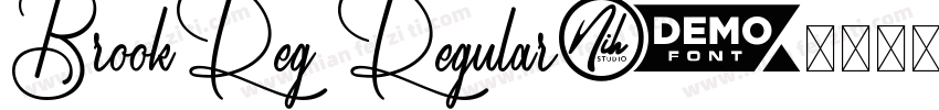 BrookReg Regular字体转换